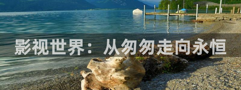七七影视大